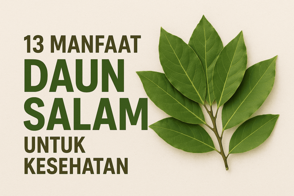Daun Salam