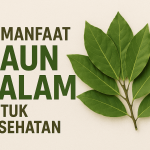 Daun Salam