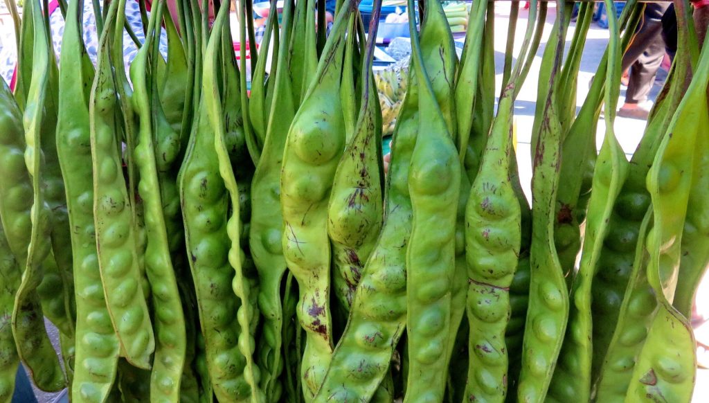 Manfaat Tanaman Petai